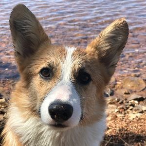 Meet your Posher, Hayley